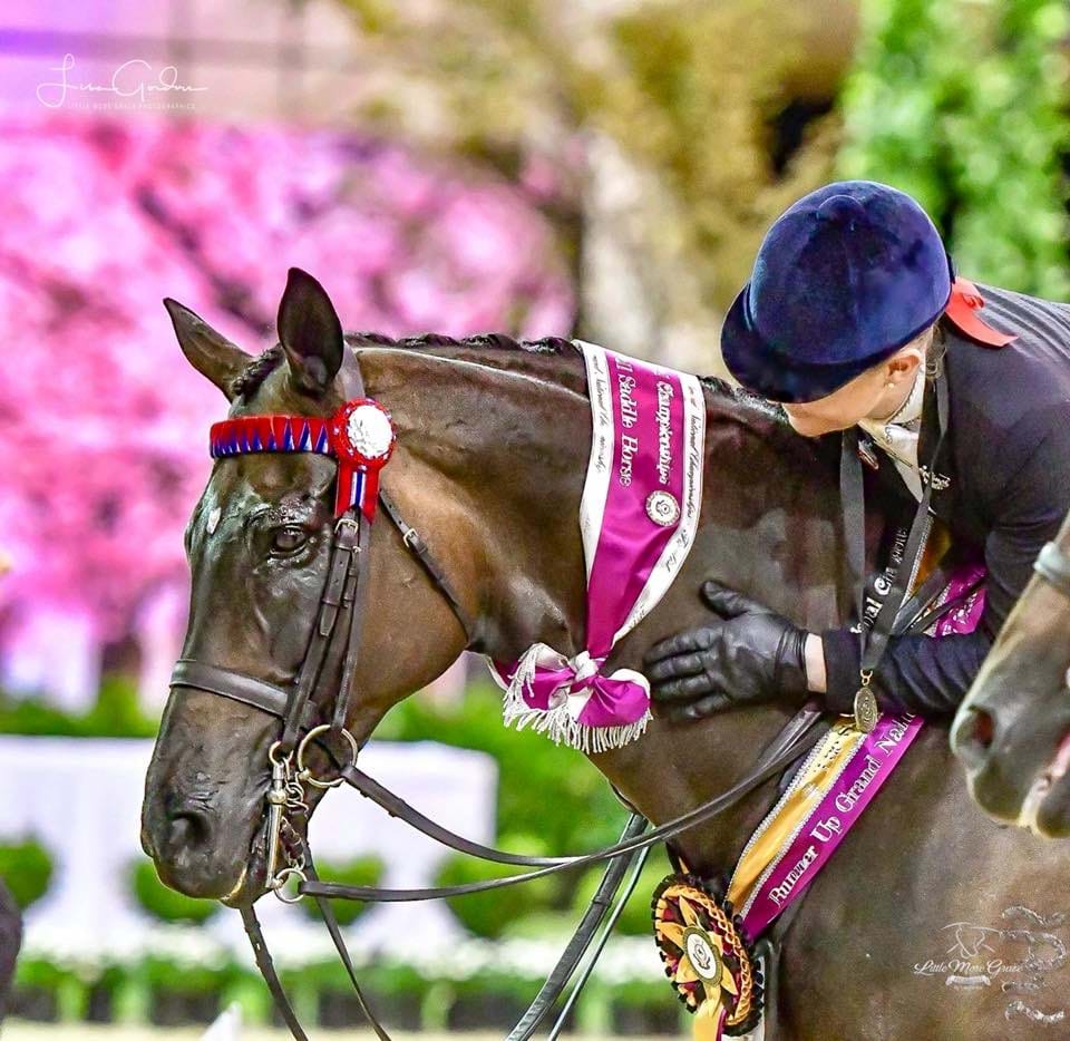 2019 Hufglocken Grand National Saddle Horse and Rider Championships