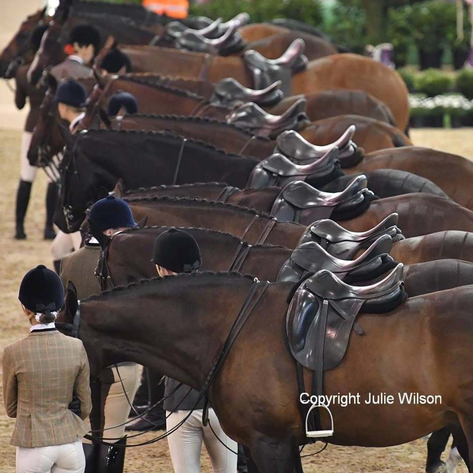 2019 Hufglocken Grand National Night of Star