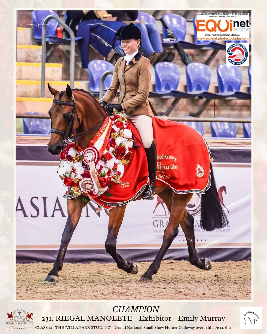 Show Horse Council Australasia 2018